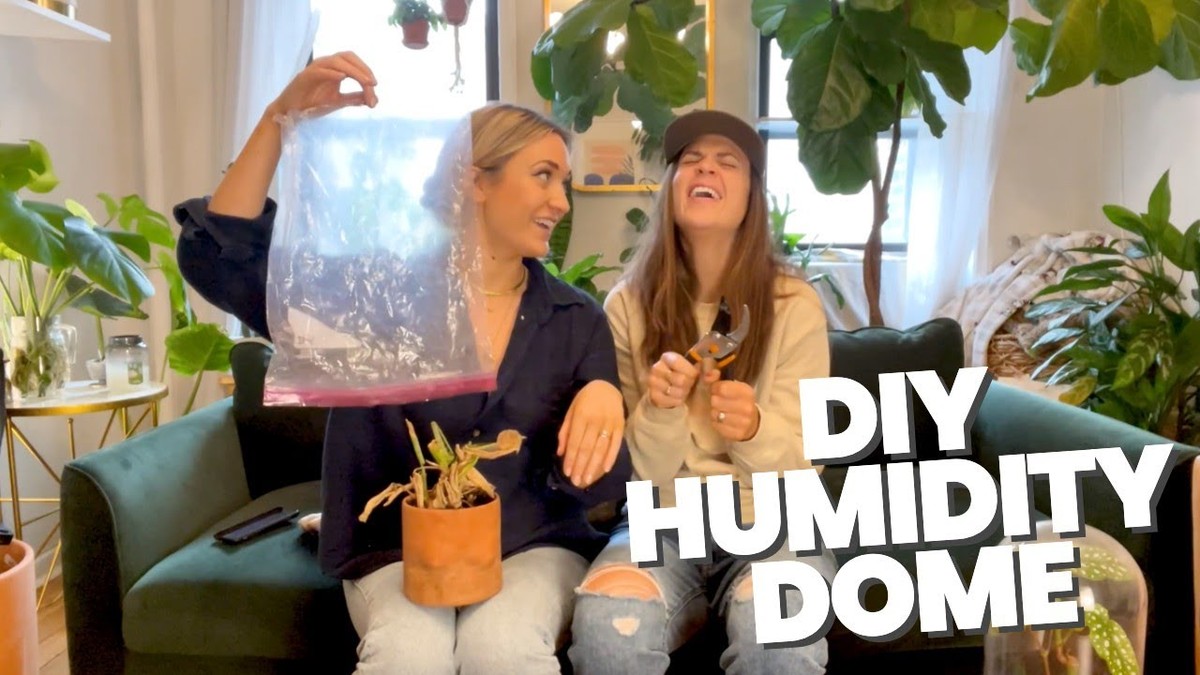 Staré trička jako optimalní řešení na vlhkost v domě – funguje lépe než odvlhčovač - image 1